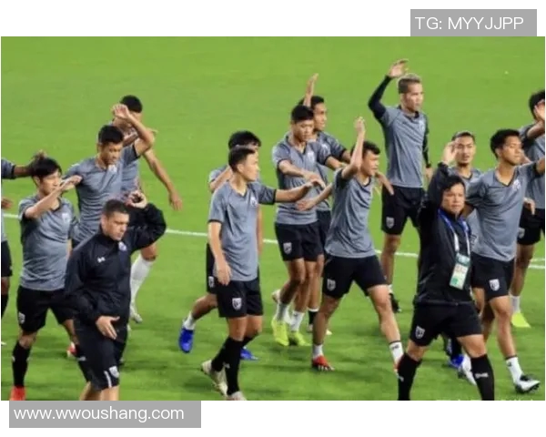 西安排球队在锦标赛中的团队协作表现分析与点评